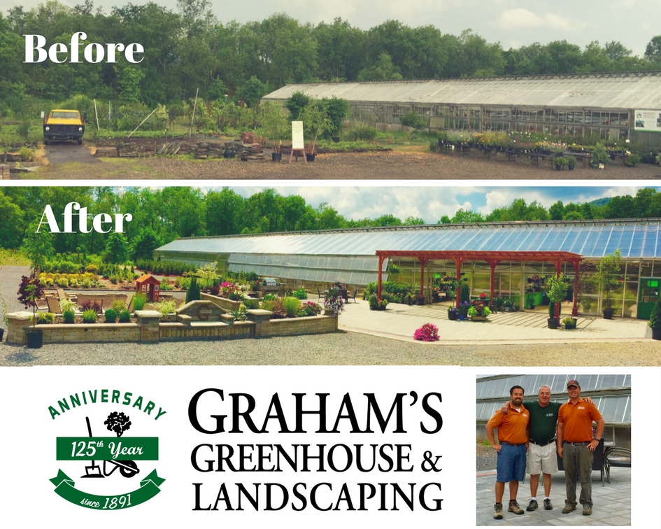 grahams greenhouse collage